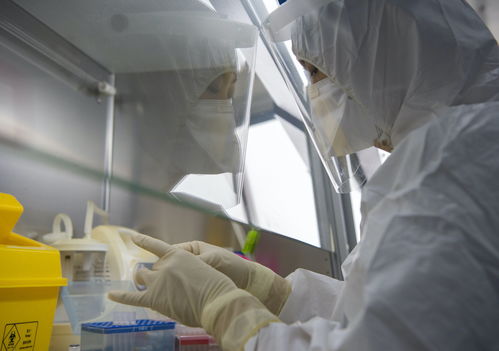 金域醫(yī)學(xué)舉全集團(tuán)之力，支援北京核酸檢測(cè)日產(chǎn)能突破3萬(wàn)例