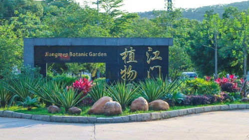 首屆杜阮羊肉美食節(jié)盛大啟動，融合美食與冰雪體驗